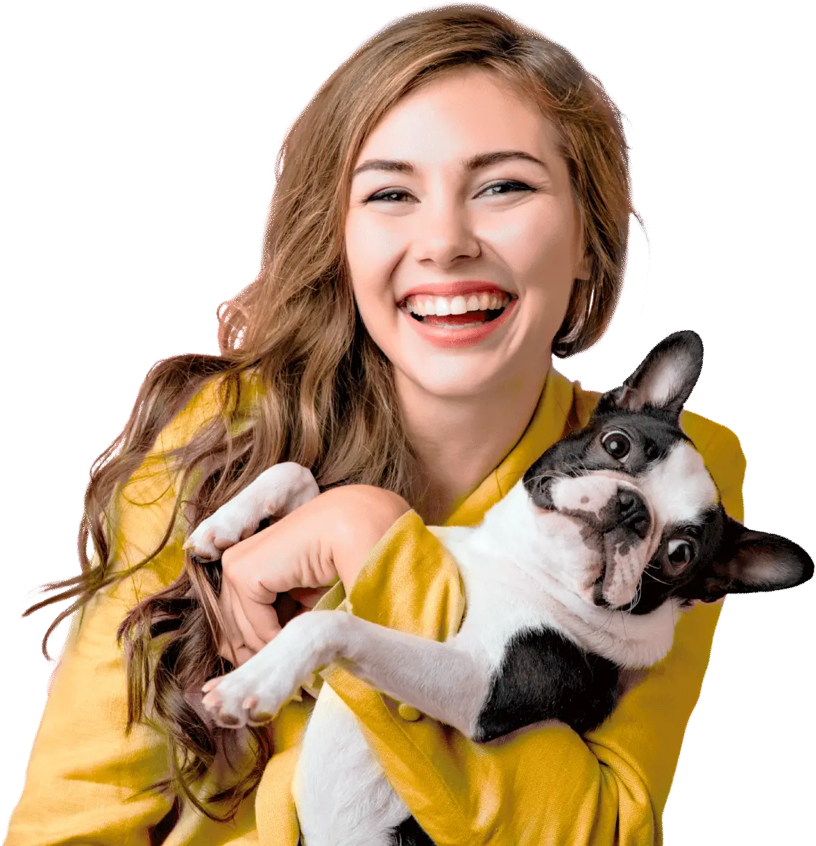 Clínica Veterinária Mialate